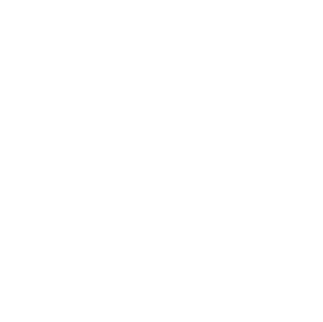 icon kia